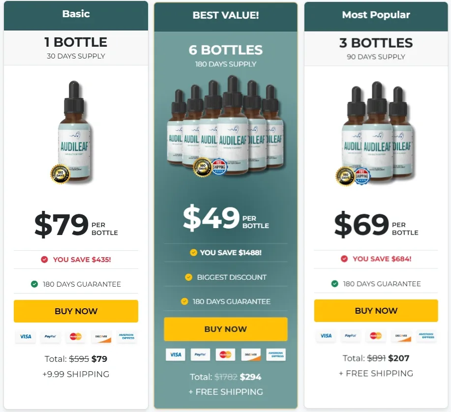 AudiLeaf price